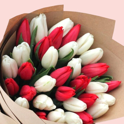 Spring Tulips Mix of White and Red Tulips